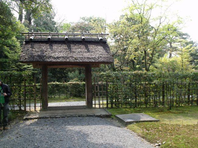 いま、再びの桂離宮参観』嵐山・嵯峨野・太秦・桂(京都)の旅行記