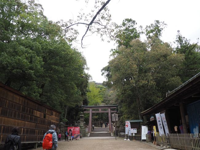 春日大社の駐車場に車を停め、そこから参道に出るとニ之鳥居はすぐ。<br />天気は曇り模様、この頃なにか良い天気のときが少ないように思えます。