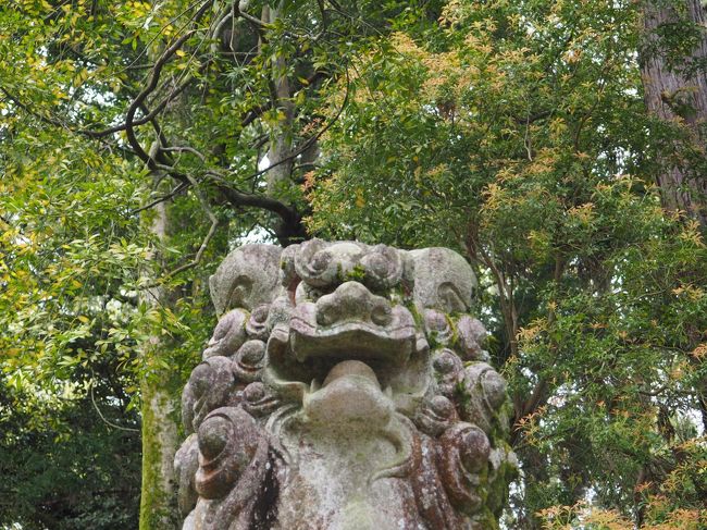 鳥居の横の狛犬（阿形）さんです。