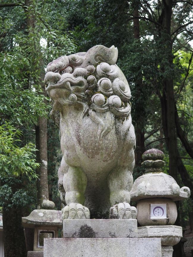 吽形の狛犬さんにもご挨拶。