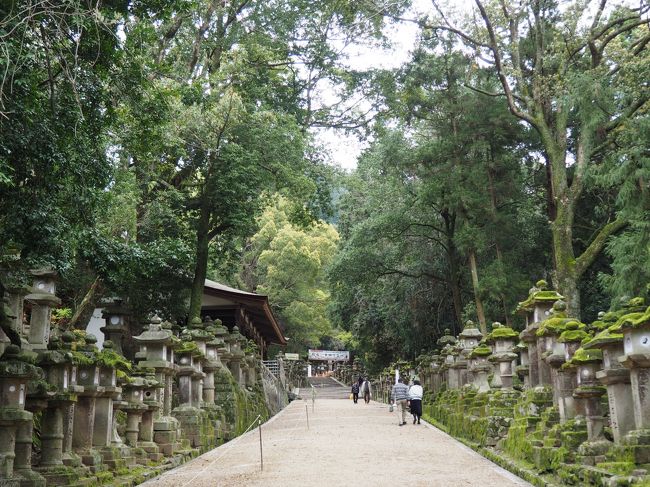 さらに表参道を歩いてご本殿を目指します。