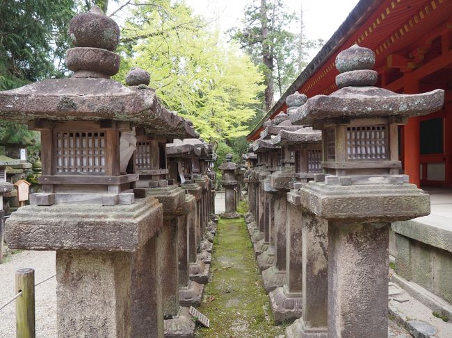 南門に入る直前の左側には燈籠の列が。