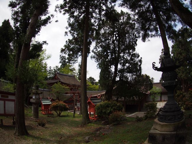 特別公開の春日大社のご本殿、来てよかったです。<br />前の写真とこの写真は、東の回廊から出る直前に撮りました。<br />南門の方の風景です。