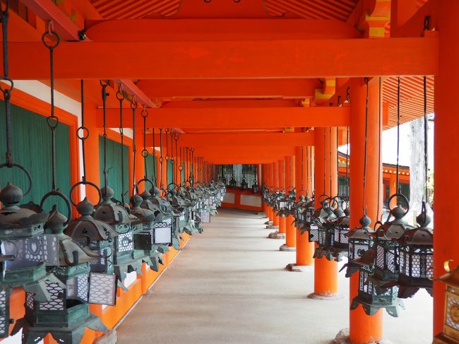 回廊の燈籠群です。