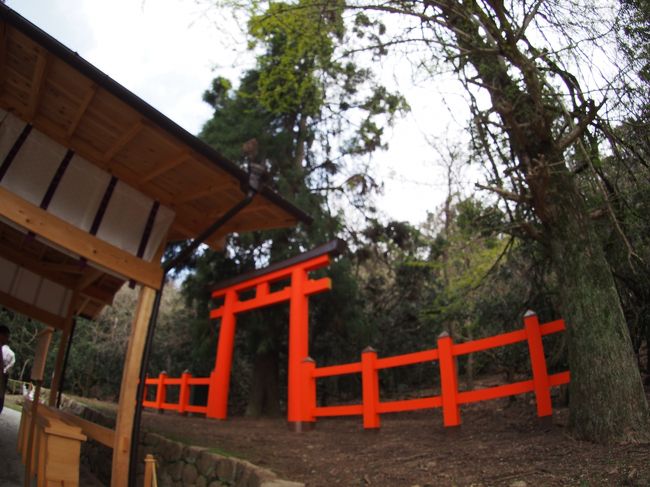 影向門から出て左に行くと、御蓋山浮雲峰（みかさやまうきぐものみね）遥拝所があります。<br />ここも今回特別公開で、奈良時代の始め平城京の守護のため、鹿島の武甕槌命（たけみかづちのみこと）が白鹿に乗り降りてこられた御蓋山の頂上である浮雲峰の遥拝所です。<br />いまも禁足地となっており、入山できません。