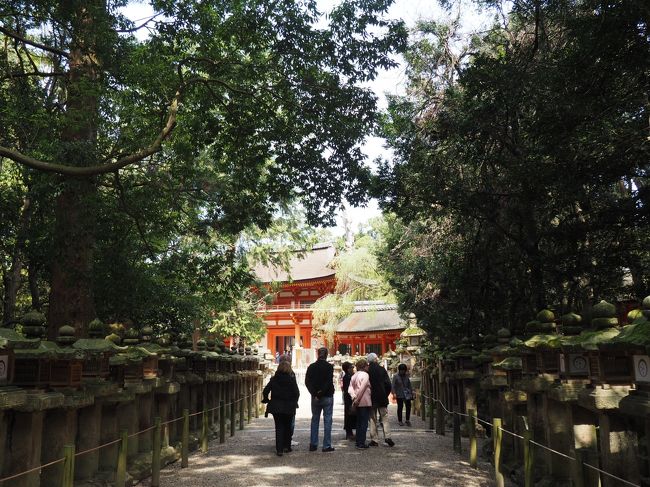 南門を出て、若宮のほうに行きます。<br />振り返って、南門をパチリ。