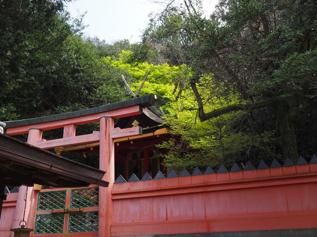 若宮です。<br />新緑が綺麗です。<br />曇りだった天気も、だんだん青空になってきました。