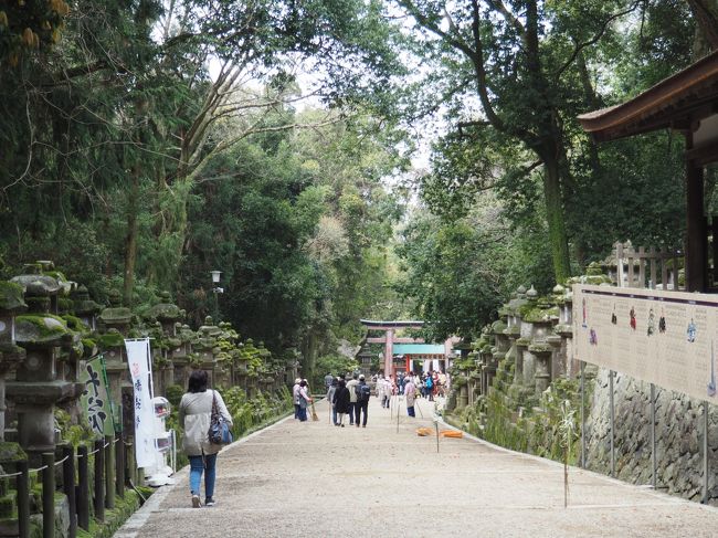 表参道のニ之鳥居の近くまで戻ってきました。