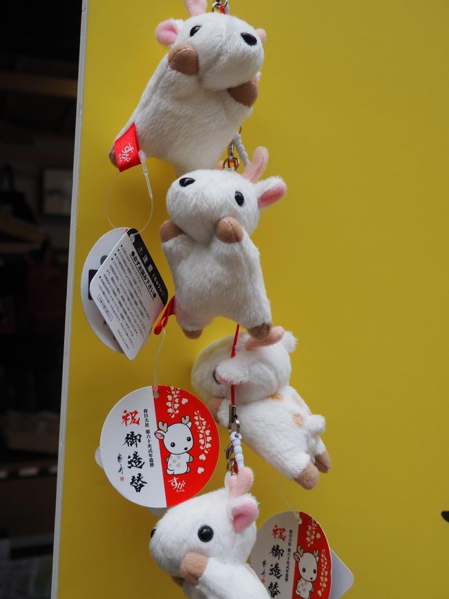 表参道沿いにある土産物店にあった、春日大社のキャラクター、すがちゃんです。<br />かわいいですね。