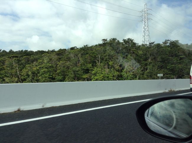 レンタカーを借りたのが9時過ぎ。一気に高速で水族館を目指します。<br /><br />レンタカー会社で、水族館の入場券購入。一割引きでした。