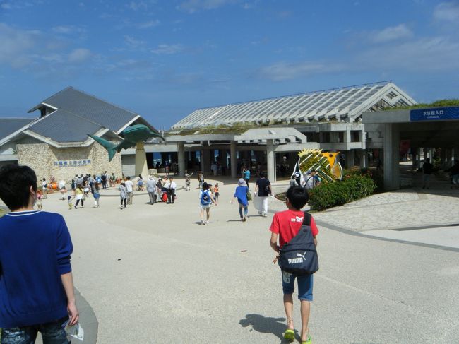 11時前に水族館到着。<br /><br />水族館に一番近い立体駐車場の３階にとめました。<br /><br />日が出てきて暑い(^O^)