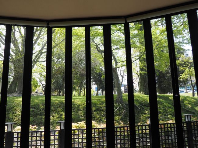 店内からの外の風景です。