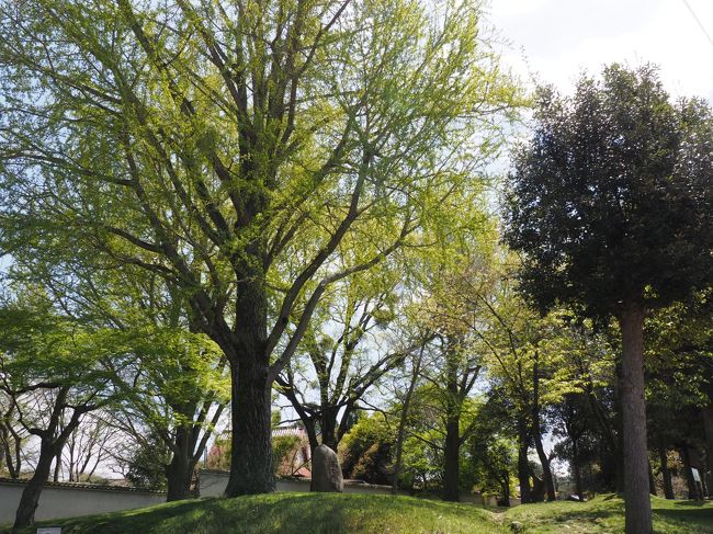 店をでたところも新緑がきれいです。<br />かつては、この辺りまで東大寺の境内で、西大門跡の石碑が見えます。