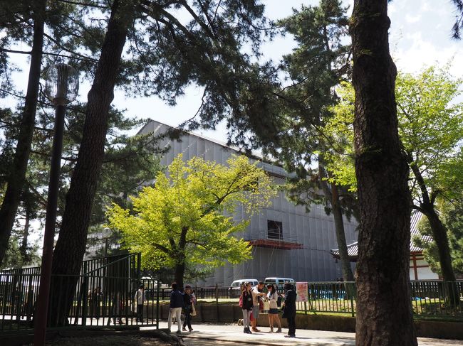 その公園を歩いていくと、再建中の中金堂が見えてきます。<br />ここが特別公開中になっています。