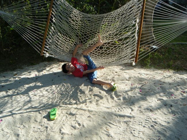 ハンモックから落ちる…<br /><br />ブランコは見当たらず、ハンモックは増えていました。