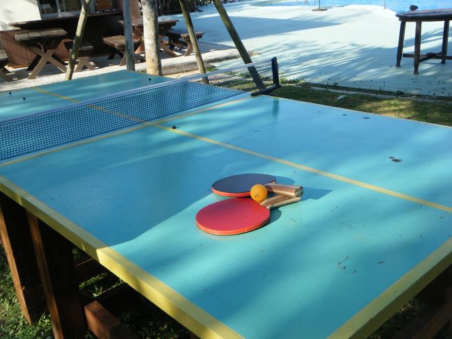 新しく卓球台が置いてありました。<br /><br />フロントで予約し、１時間使用できます。<br /><br />木陰にあるため卓球台の上は木の実が落ちていました。