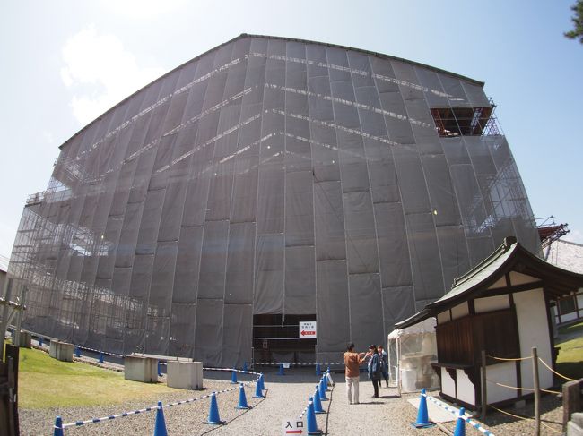 チケットを買って、再建中の中金堂に入っていきます。<br />ちょっと高いなと思ったのですが、東金堂と国宝館にも入場できるとのこと。<br />それであれば、まあ妥当な金額でしょうか。