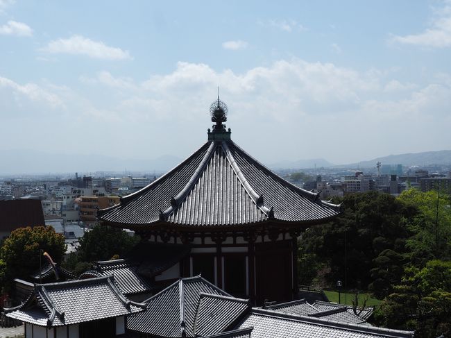 ネットの上にカメラを出して、南円堂をパチリ。