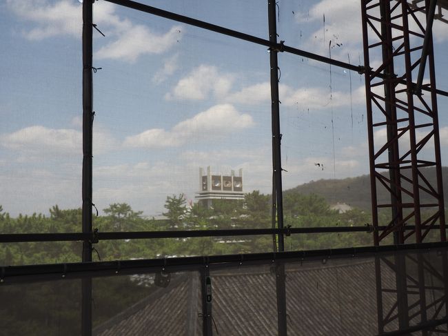 北側にまわると、ネット越しに奈良県庁が見えます。