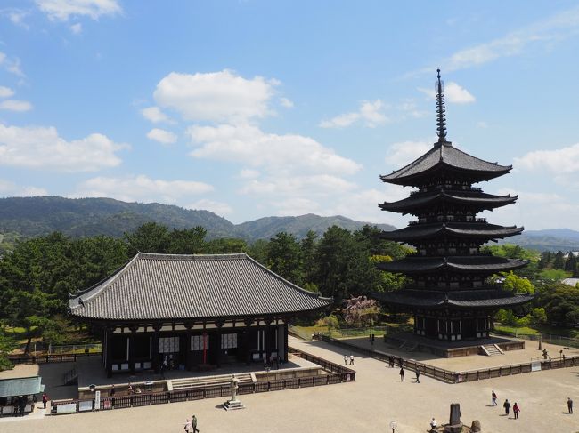 東側にまわると、そこにも展望コーナーがあって、そこからの東金堂と五重塔です。