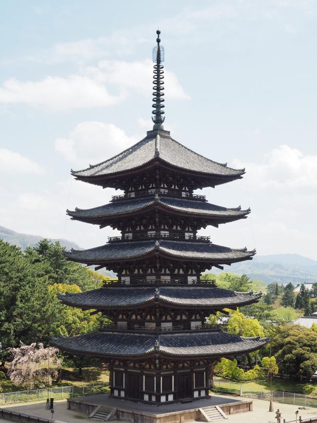 せっかくなので五重塔を単独で撮ります。<br />この角度からの五重塔なんて、めったに見ることが出来ないですよね。