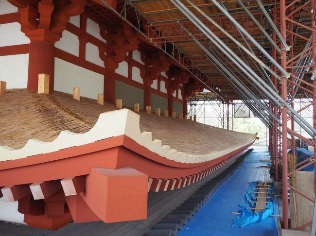 きれいな曲線になっていますね。