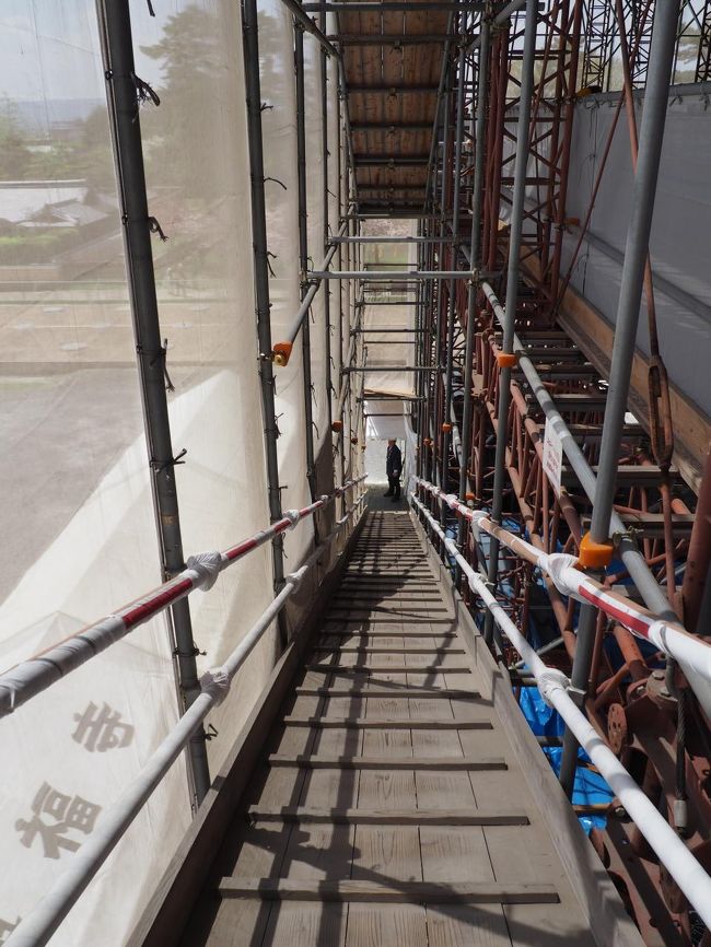 地上に下りていきます。