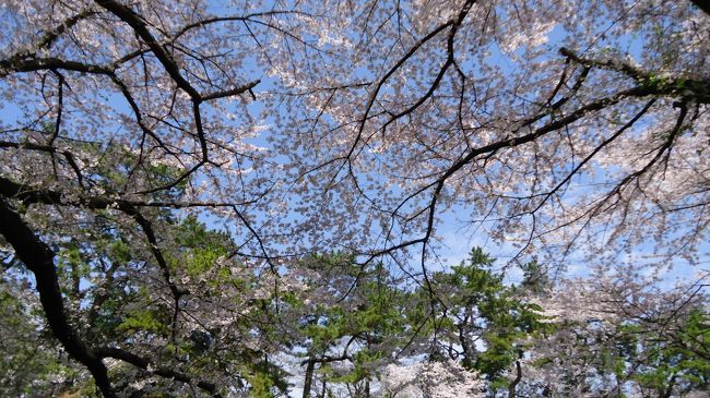 聞こえてくる言葉の約半分が日本語以外です。