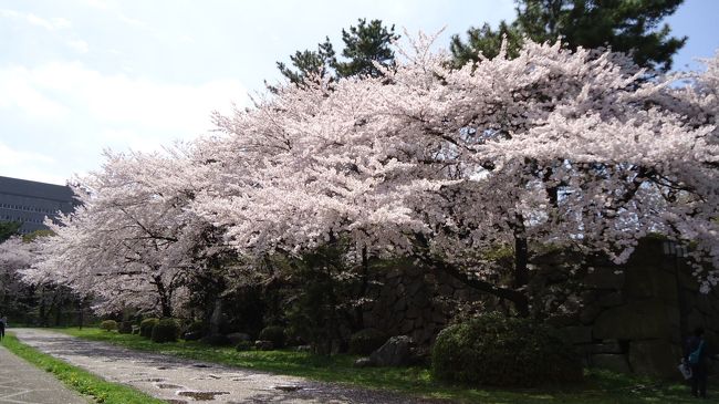 国際化を感じます。