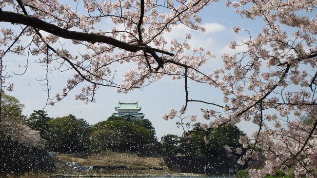 桜吹雪が綺麗でした。