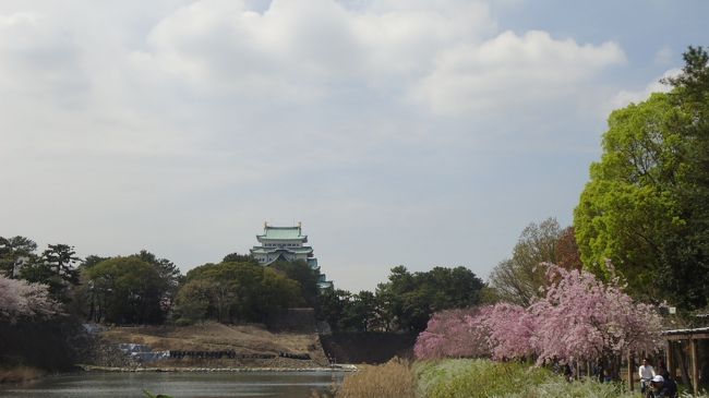 春に桜を見ていると、