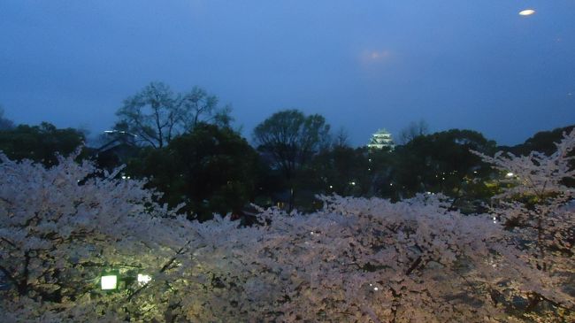 会議も終わり、懇親会会場からの一枚。（笑）