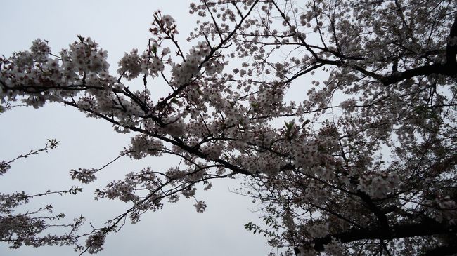 翌日曜日、私用で東京へ。