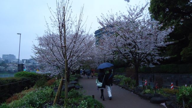 土曜日と打って変わり、雨がしんしんと降り少し肌寒かったです。