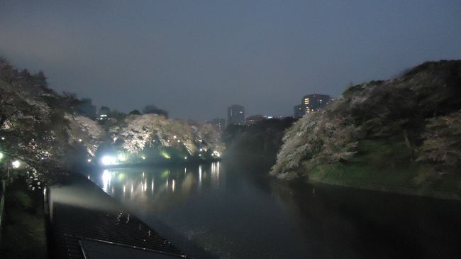 とても幻想的な光景。