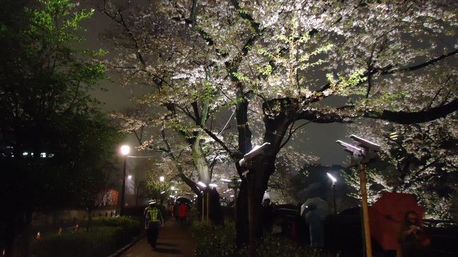 半分、とまではいきませんが、三分の一くらいは日本語以外だったような気がします。