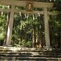 桜の花に囲まれて那智大滝・青岸渡寺・那智大社めぐり