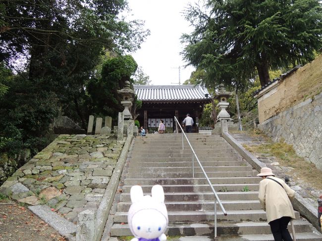 ここは、大宝3年（703）に、法相宗の日証上人が琴弾八幡宮と別当寺の神宮寺を建立したのが始まりとされてるんだってφ(．．)<br /><br />大同2年（807）に弘法大師が琴弾八幡宮を神恵院に、神宮寺を観音寺と改め四国霊場に定めたんだけど、明治の神仏分離令で、八幡宮は琴弾神社と神恵院に別れちゃって、神恵院は観音寺に移されたため、一寺二札所となったんだそう(@_@)