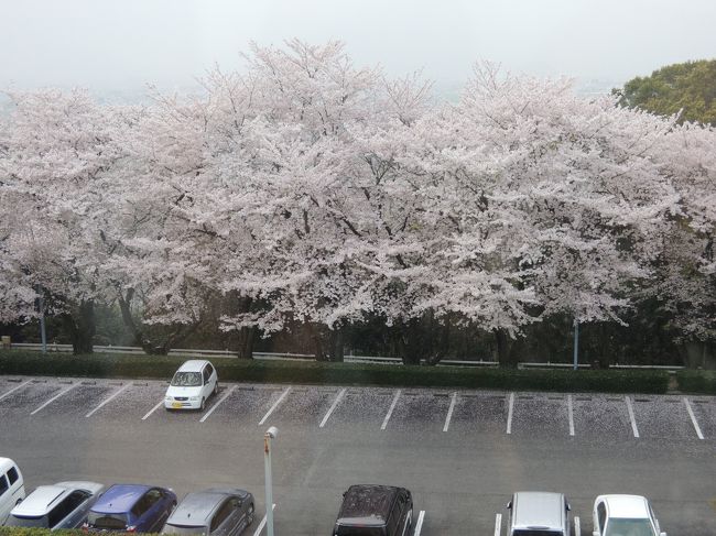 観音寺駅のコインロッカーに置いといた荷物とって、宿のお迎えをまつよ(^^)/<br /><br />お迎えの時間は、固定&amp;予約制ﾃﾞｼﾀ。<br />
