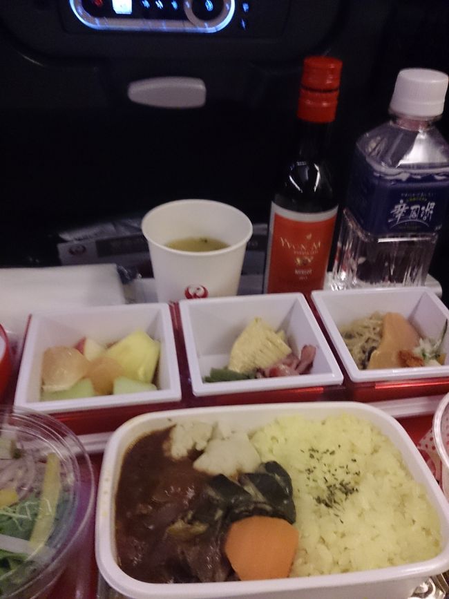 エコノミーの機内食。前回初インボラを経験して以降毎回期待してしまうのですが今回は無し。席座った直後に両脇が同じ家族と判明。席移動してあげたのですがビジネスに空きがなかったかも。