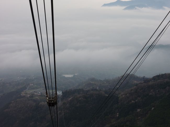 雲辺寺自体ももやってて、すてきな場所でした(･∀･)
