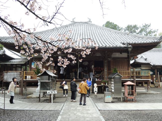 長曽我部元親による天正の兵火ﾄｶで、何度か焼失し今の本堂は寛保元年（1741）に再建されたものみたい(･ω･)