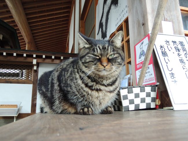 近くきたー(&gt;∀&lt;)♪