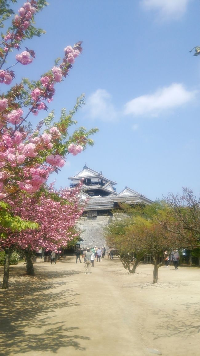 時間がないので天守閣には入りませんでしたが、現存する12天守の1つだそうです。