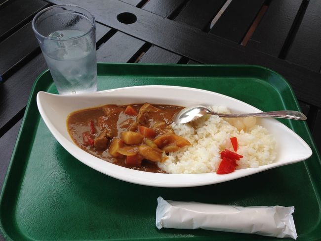 お昼はカレー<br /><br />味はふつうです(笑)<br /><br /><br />海で遊んだあとは、ホテルの大浴場へ〜<br /><br />海・プールから直接、大浴場へ行けるので、大変便利です。<br />（写真はもちろんありません）