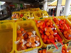 柑橘類が沢山売ってます。
しかも安め。