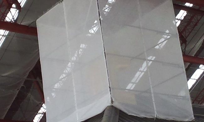 残念ですが、中のシビがよく見えません。