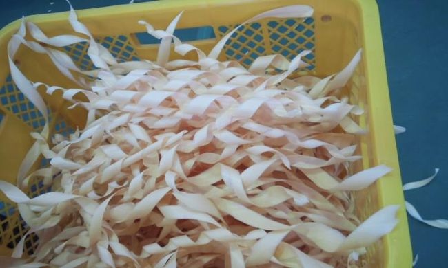 言わずとしれた檜のカンナくずですが、お風呂に入れるといい香りがするので、もらって帰ることにします。<br />檜、樟、榧の木といい香りがしますよね。私は樟の香りが一番好きです。