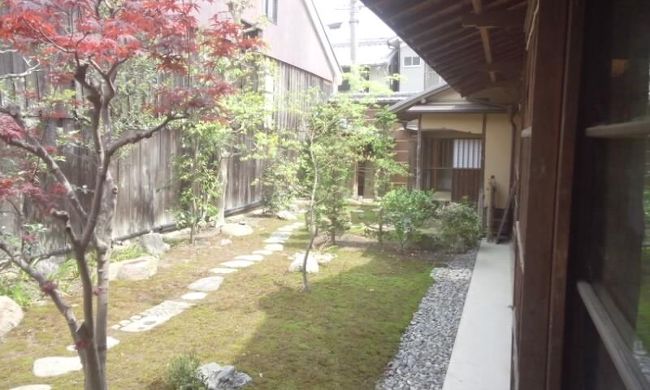 庭の先には茶室が見えます。