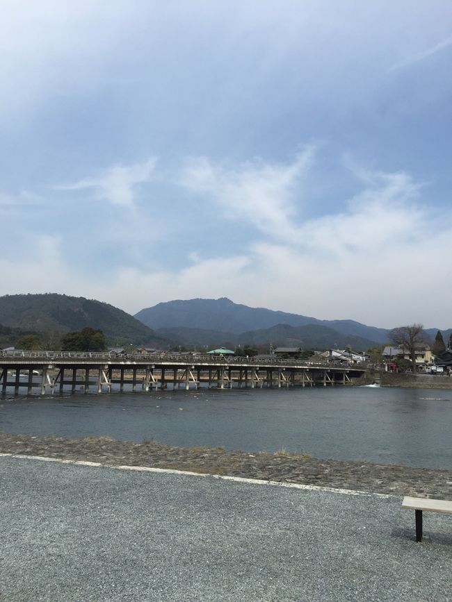 阪急線に乗り込み、まず向かったのは嵐山。<br />時間が早めだったのでまだ人は少なめ。<br /><br />駅前でレンタサイクルを借りました。<br />お昼まで借りたので時間はあまりない！<br /><br />どれだけまわれるかな〜